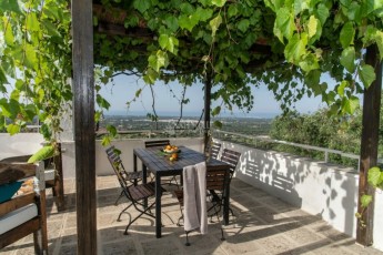 Vigne di Salamina - Trullo Monte Zuzzu, terrasse