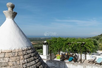 Vigne di Salamina - Trullo Monte Zuzzu, terrasse